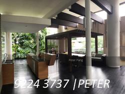111 Emerald Hill (D9), Apartment #127347452